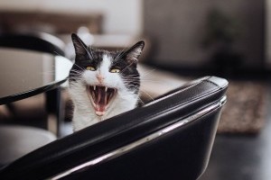 Betonová stěrka - Byt Brno