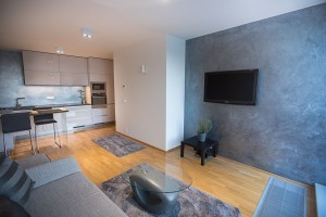 metallic-surfaces private-flat-netroufalky