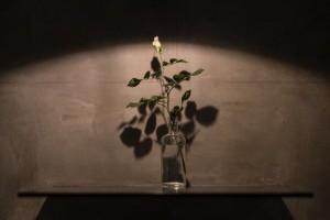 Furniture by Moderní povrchy