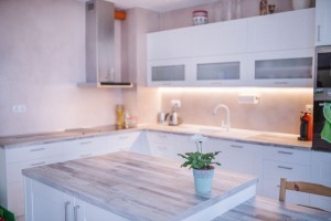 panDOMO - Byt Holubice